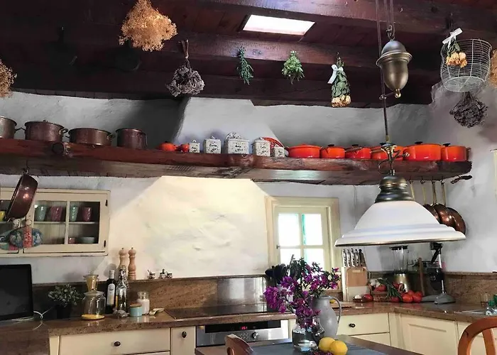 Casa Alegria Ii 아파트 테기세