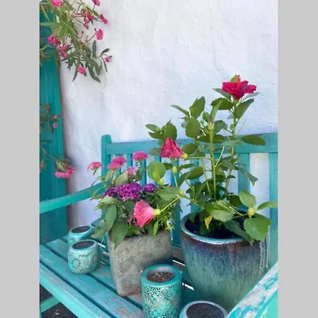 Casa Alegria Ii *