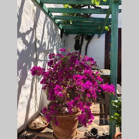 Casa Alegria Ii